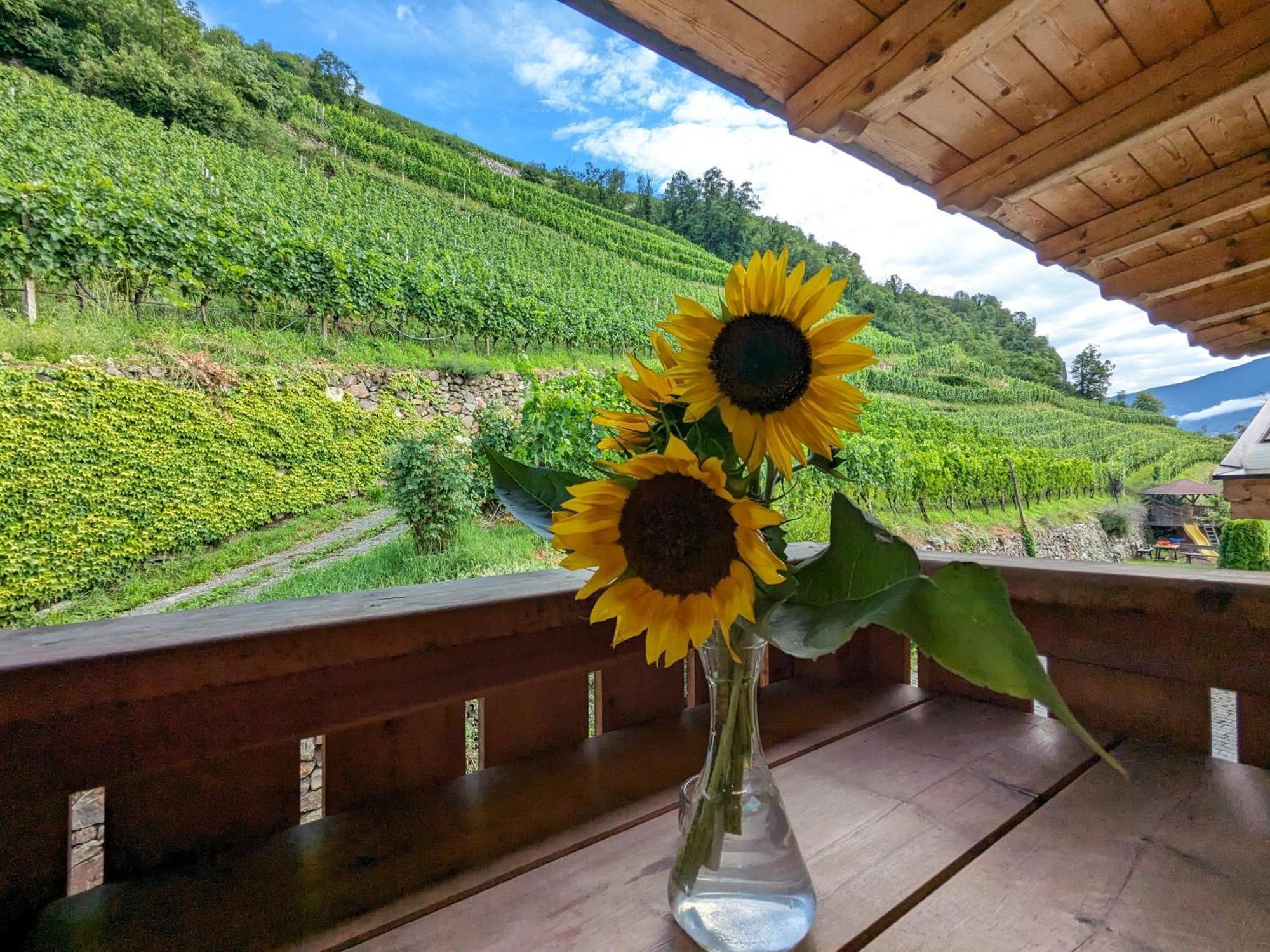 Hofer Hof Séjour à la ferme *